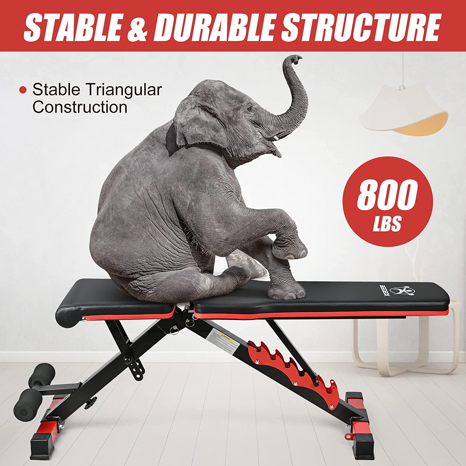 Beedeck adjustable bench for gym