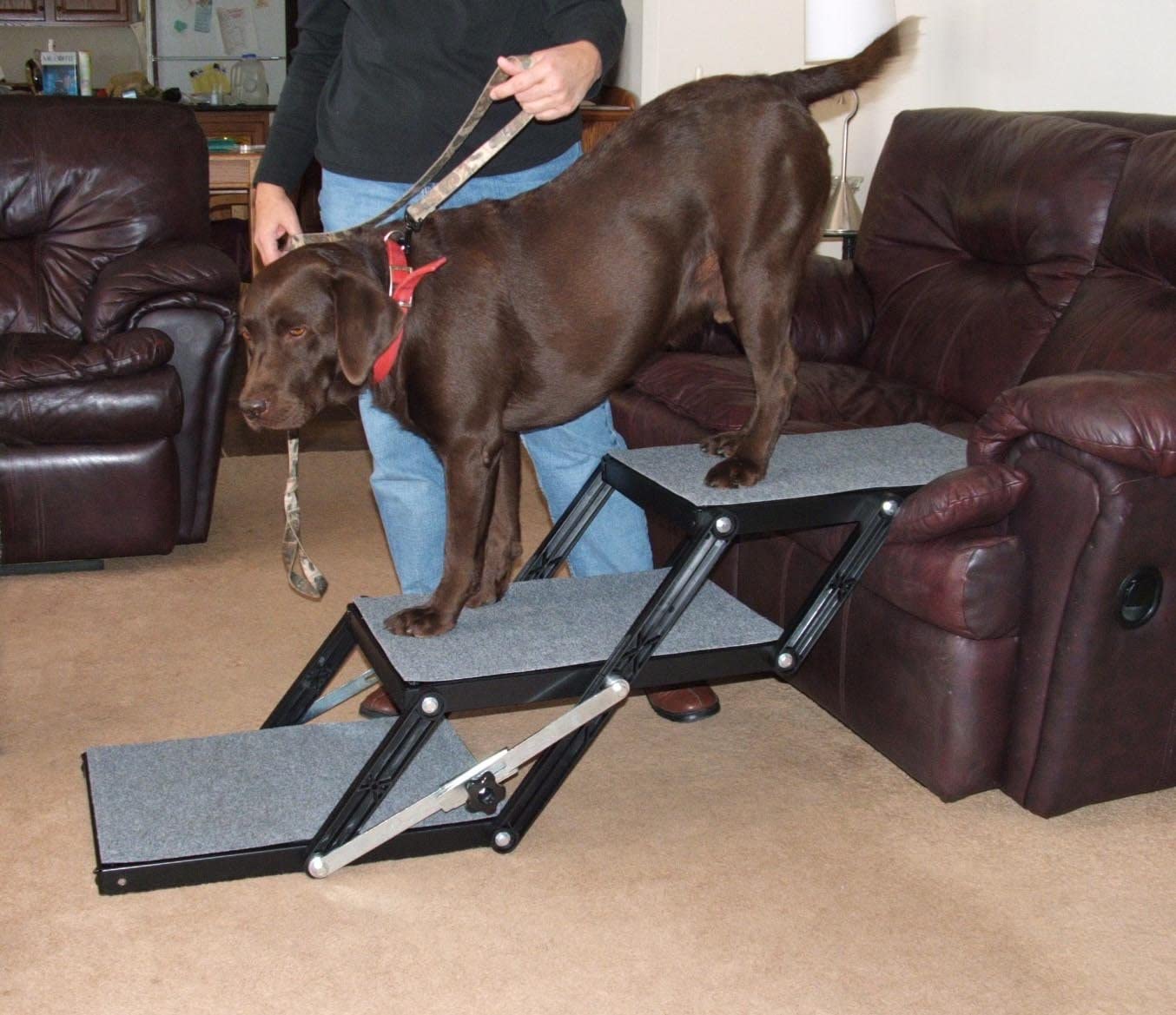 Pet Loader Ultra Light Platform