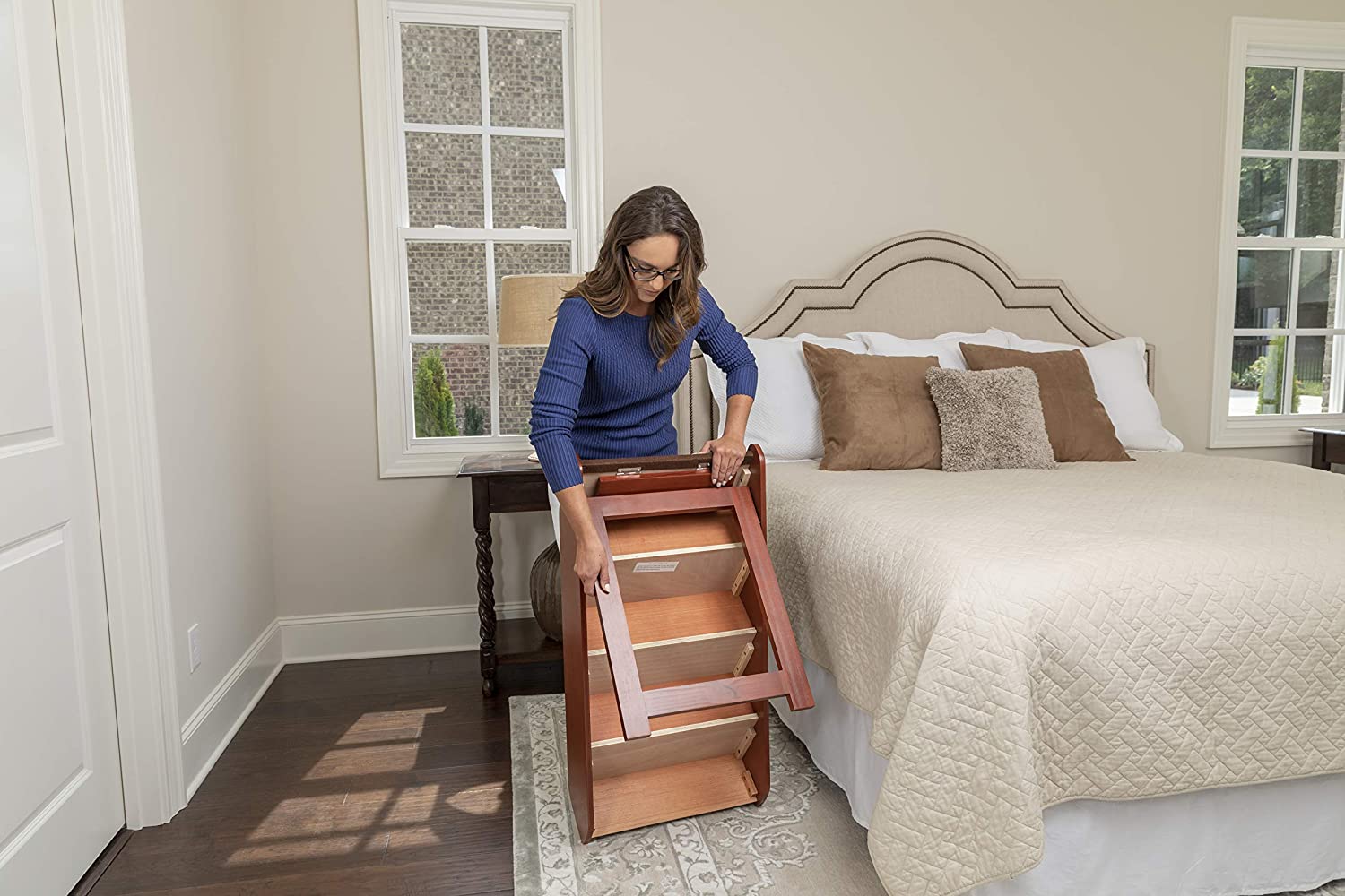 Solvit PetSafe PupSTEP