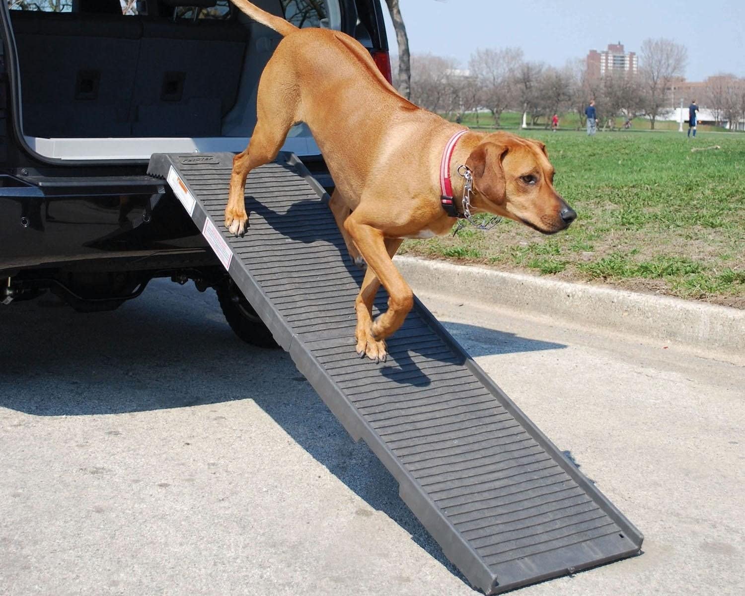 PetSTEP Original Folding Pet Ramp