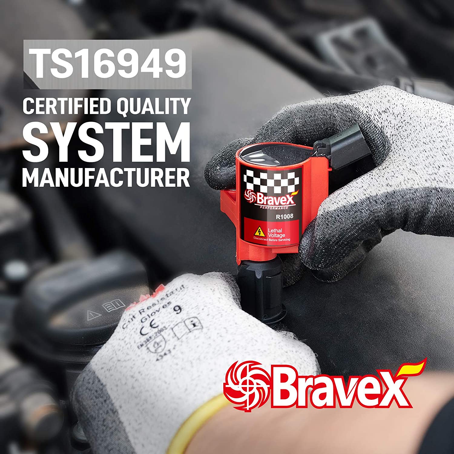 Steinbrucke Ignition Coils for Ford F150