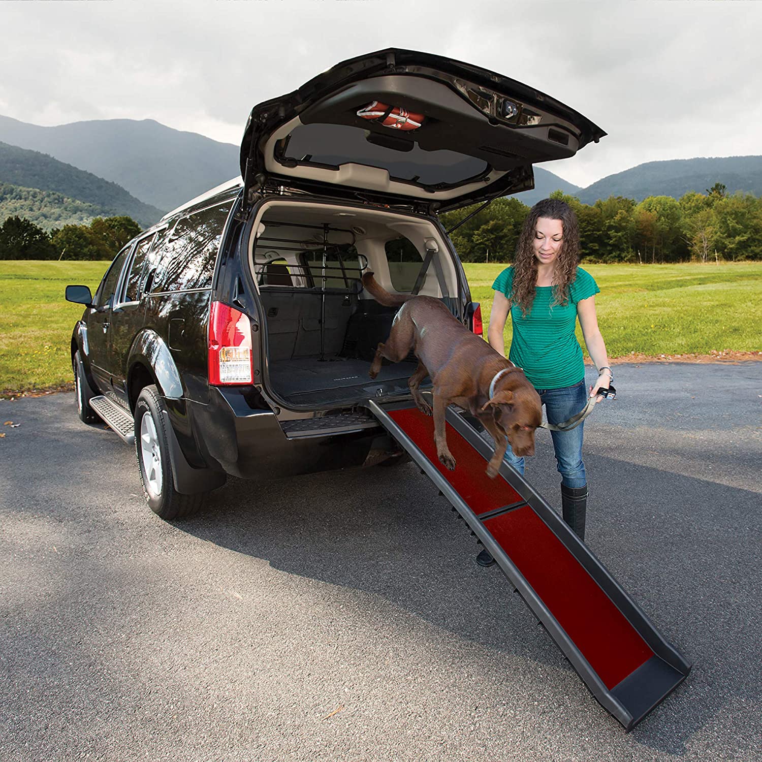 Kurgo Wander Collapsible Dog Ramp